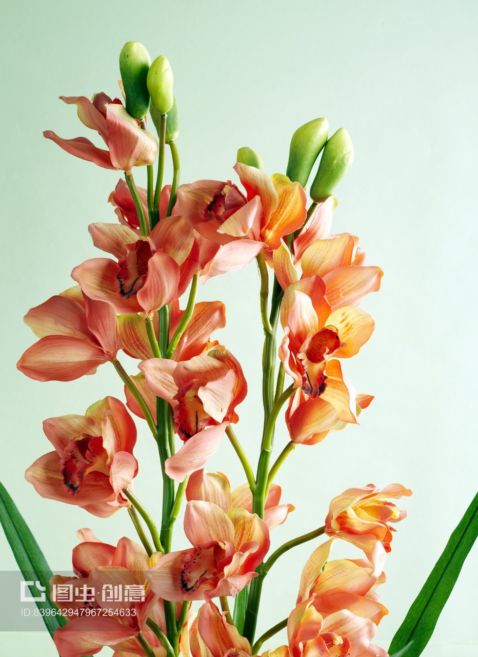 永不凋謝的詩意 仿真蘭花的插花藝術與禮品美學