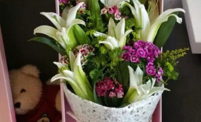 鄭州馨語花卉鮮花店用戶評論與體驗分享